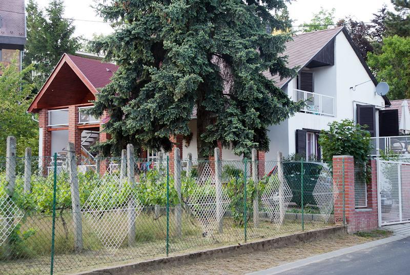 Apartament Kincsem Apartman Badacsonytomaj Pokój zdjęcie